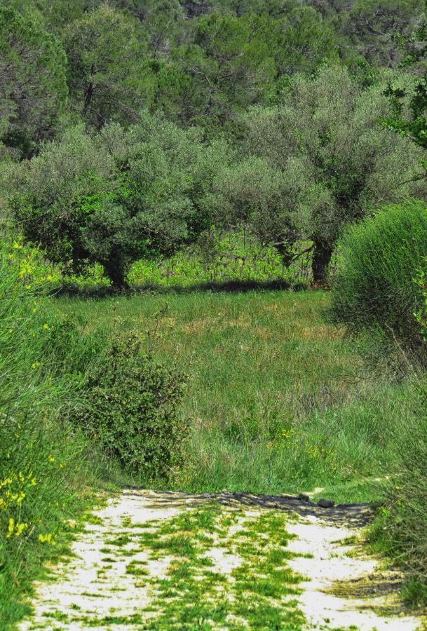 La Bastide De Canaules Экстерьер фото